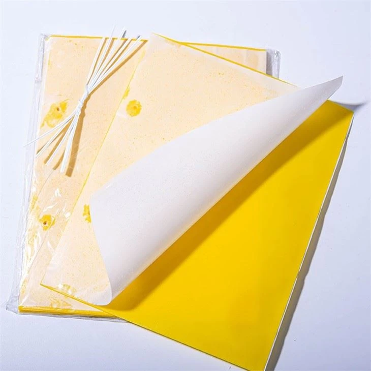 Biodegradable Yellow PP Roll For Sticky Board